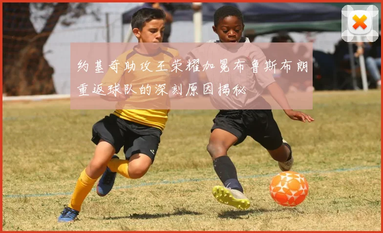 约基奇助攻王荣耀加冕布鲁斯布朗重返球队的深刻原因揭秘