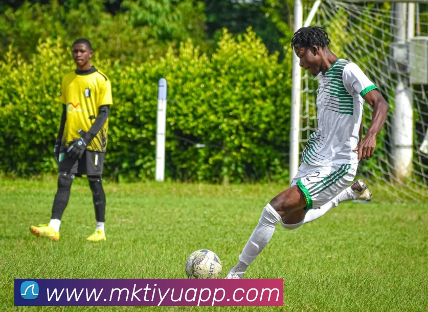 MK体育APP 封面图